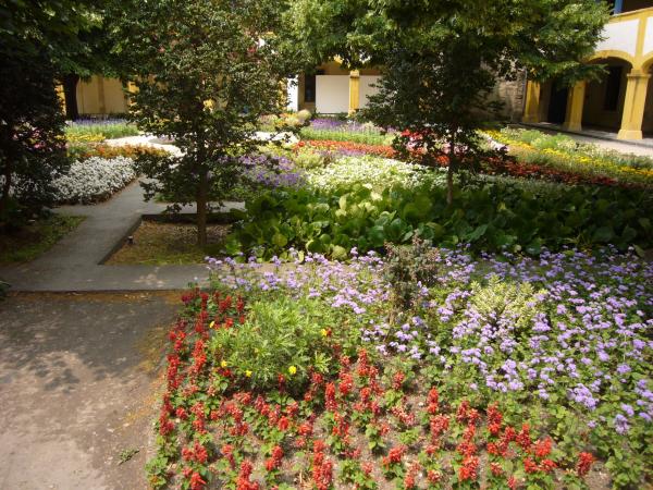 Van Gogh garden